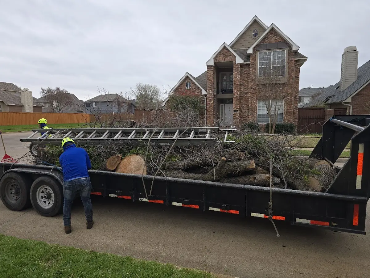 Expert Tree Fertilization with proper safety equipment in Gresham